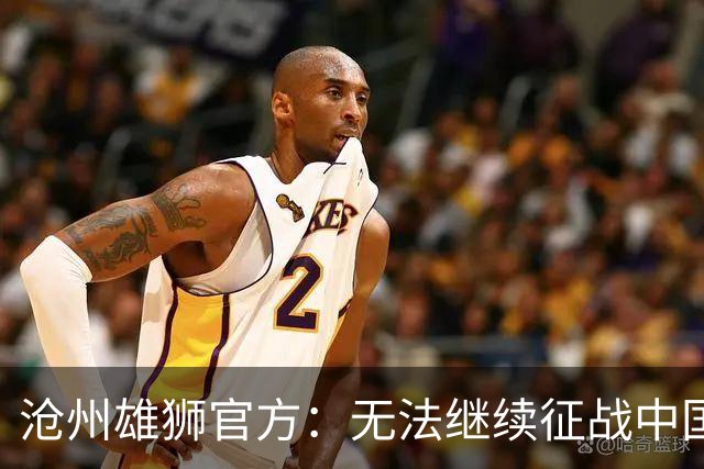 沧州雄狮官方：无法继续征战中国足球职业联赛