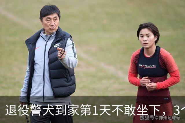 退役警犬到家第1天不敢坐下，3个月后…猫哥被烦到想报警？警犬：报吧，出警的是我前爹！